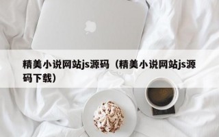 精美小说网站js源码（精美小说网站js源码下载）