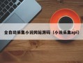 全自动采集小说网站源码（小说采集api）