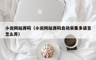 小说网站源码（小说网站源码自动采集多语言怎么弄）