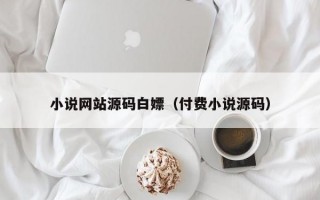 小说网站源码白嫖（付费小说源码）