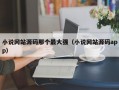 小说网站源码那个最大强（小说网站源码app）