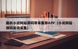 最新小说网站源码带采集带APP（小说网站源码自动采集）