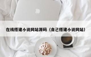 在线搭建小说网站源码（自己搭建小说网站）