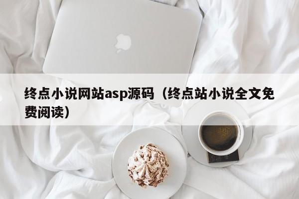 终点小说网站asp源码（终点站小说全文免费阅读）-第1张图片-茗川网