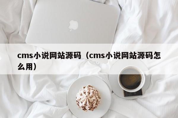 cms小说网站源码（cms小说网站源码怎么用）-第1张图片-茗川网