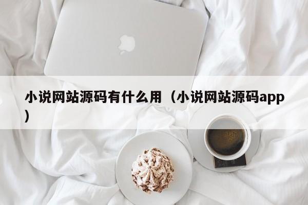 小说网站源码有什么用（小说网站源码app）-第1张图片-茗川网